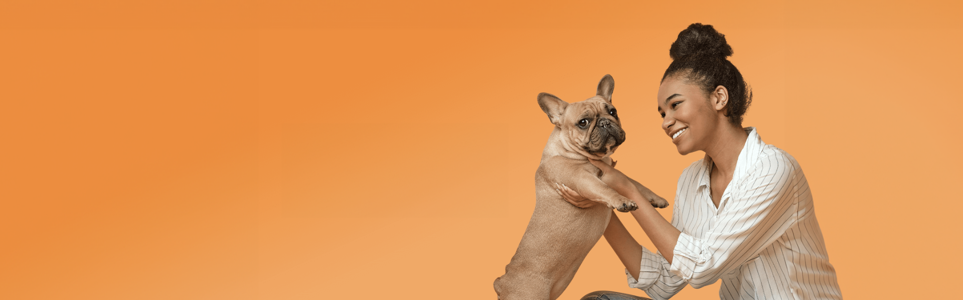 Boutique d'animaux Chico